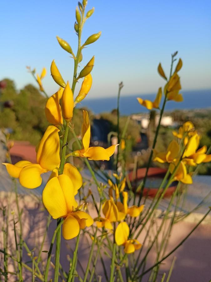 La Petite Maison Ачи Кастело Екстериор снимка